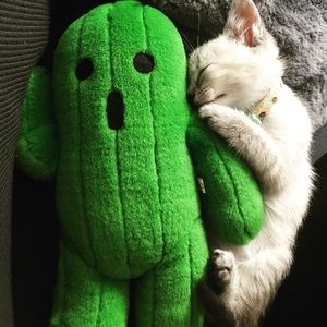 Meet your Posher, Krizia